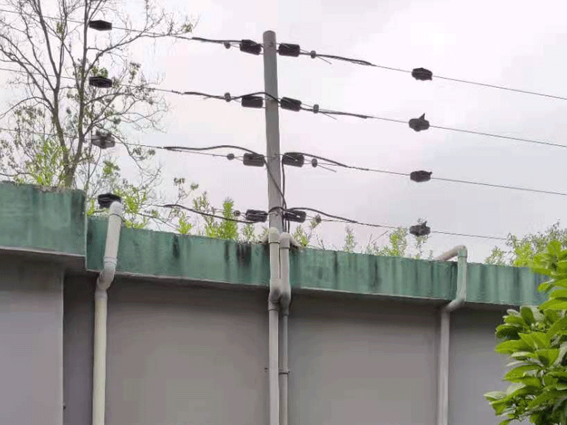 漲知識(shí)：電子圍欄系統(tǒng)的分類(lèi)及功能，你知道嗎？