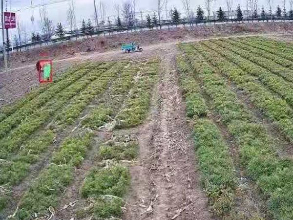 樹苗基地安防監(jiān)控系統(tǒng)怎么樣才安全？來看這里！